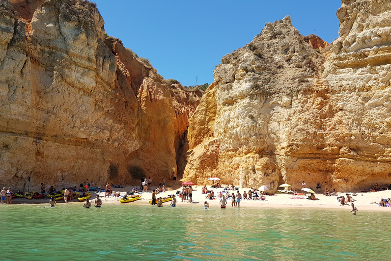 Lagos: Ponta da Piedade Grotto 1-timmes tur med lokal guideDelad gruppresa