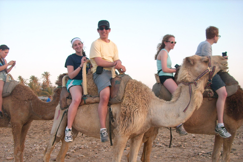 Från Agadir eller Taghazout: Kameltur och flamingobesökTaghazout: Kameltur med te