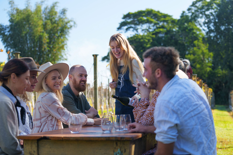 Tamborine Mountain: Wine Tasting Tour with 2-Course Lunch