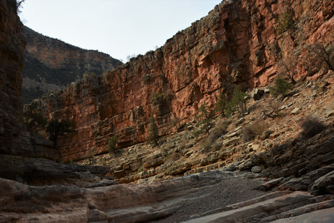 Agadir eller Taghazout: Paradisdalstur med simningAgadir Paradise Valley-tur med simning