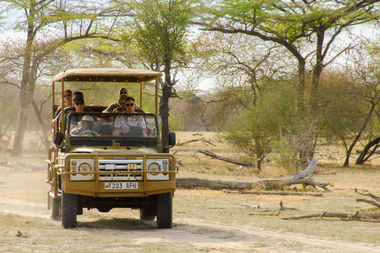 Zanzibar: The 2 Days & 3 Safari Nyerere National park/Selous Nyerere National park/Selous: The perfect 2 Days 3 Safari