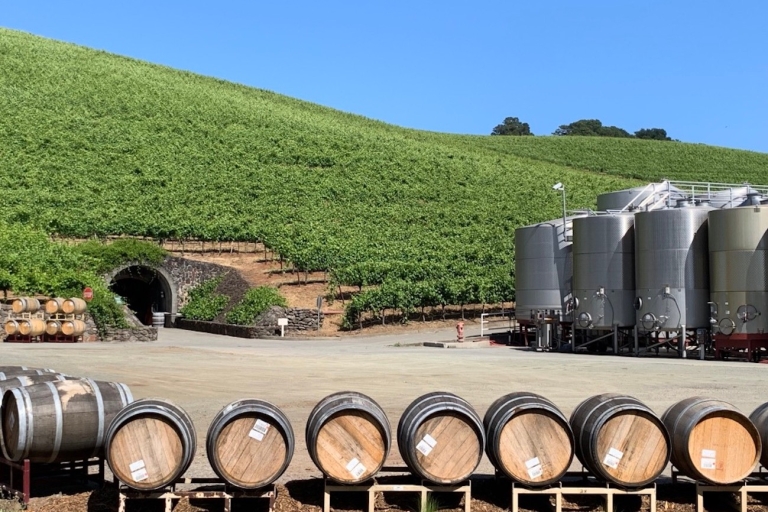 From San Francisco: Private Beer and Wine SUV Tour