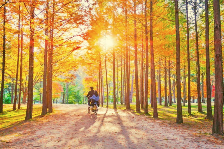 Seúl: Nami, Petite France, Pueblo Italiano, Opción RailbikeExcursión en grupo desde Hongdae (Hongik Uni)