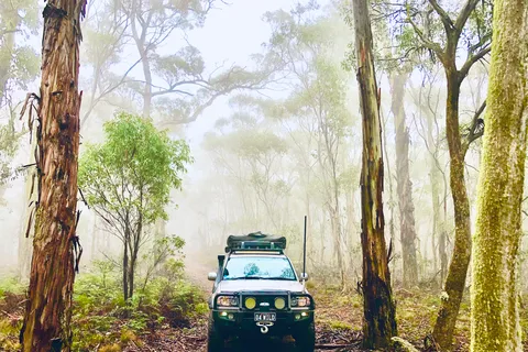 From Sydney: 2-Day Blue Mountains Camping 4WD & River Cruise
