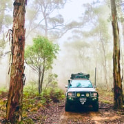 From Sydney: 2-Day Blue Mountains Camping 4WD & River Cruise