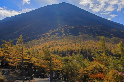 De Tokyo au Mont Fuji : excursion d'une journée et croisière à HakoneExcursion avec déjeuner depuis Matsuya Ginza, retour en bus