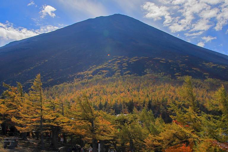 Van Tokio naar de berg Fuji: dagtour en rondvaart HakoneTour met lunch vanuit Matsuya Ginza － terugreis per bus