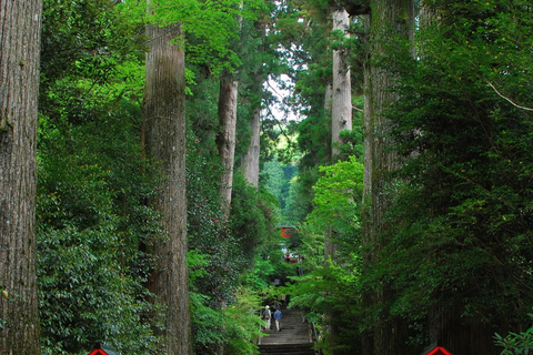 Ab Tokio: Tagestour zum Fuji und nach Hakone mit BootsfahrtTour mit Mittagessen ab Love-Statue & Rückfahrt per Bus