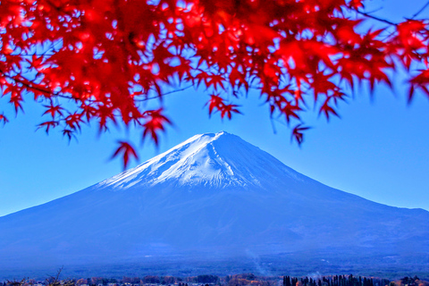 Van Tokio naar de berg Fuji: dagtour en rondvaart HakoneTour met lunch vanaf het LOVE-standbeeld － terugreis per bus