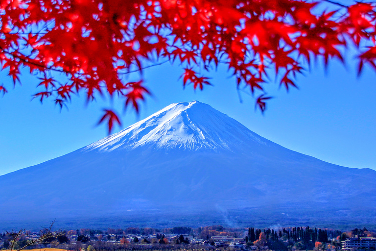 Van Tokio naar de berg Fuji: dagtour en rondvaart HakoneTour met lunch vanaf het LOVE-standbeeld － terugreis per bus