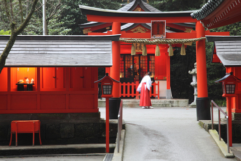 Ab Tokio: Tagestour zum Fuji und nach Hakone mit BootsfahrtTour mit Mittagessen ab Matsuya Ginza & Rückfahrt per Bus