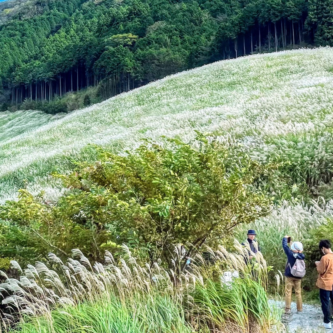 Colagem de mídia