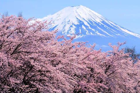 Van Tokio naar de berg Fuji: dagtour en rondvaart HakoneTour met lunch vanaf het LOVE-standbeeld － terugreis per bus