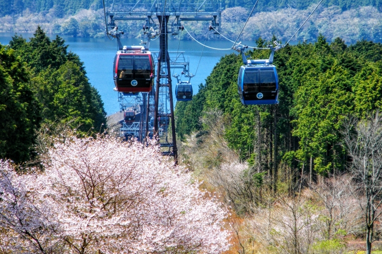 From Tokyo to Mount Fuji: Full-Day Tour and Hakone Cruise Tour with Lunch from Love Statue - Return by Bus