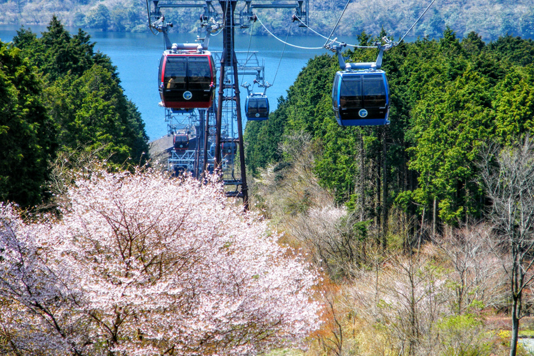 Van Tokio naar de berg Fuji: dagtour en rondvaart HakoneTour met lunch vanuit Matsuya Ginza － terugreis per bus