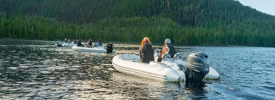 Ketchikan : Route panoramique et croisière en zodiac dans les fjords de George Inlet