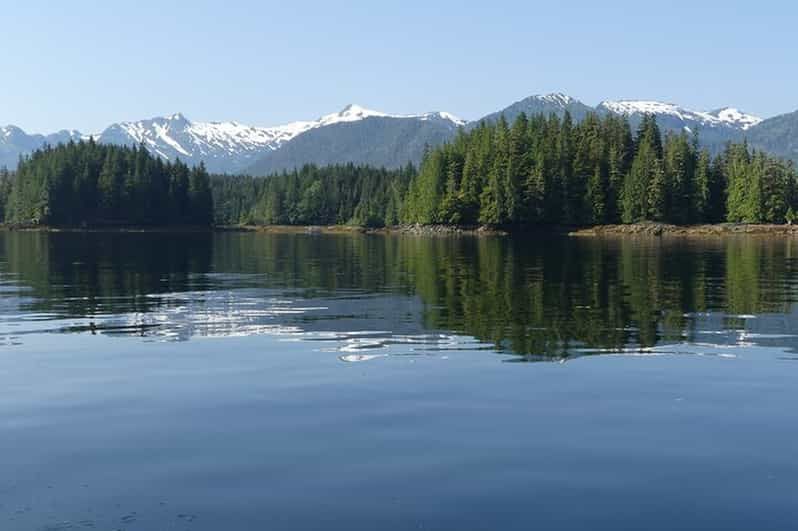 se permiten perros en el bosque nacional de george washington