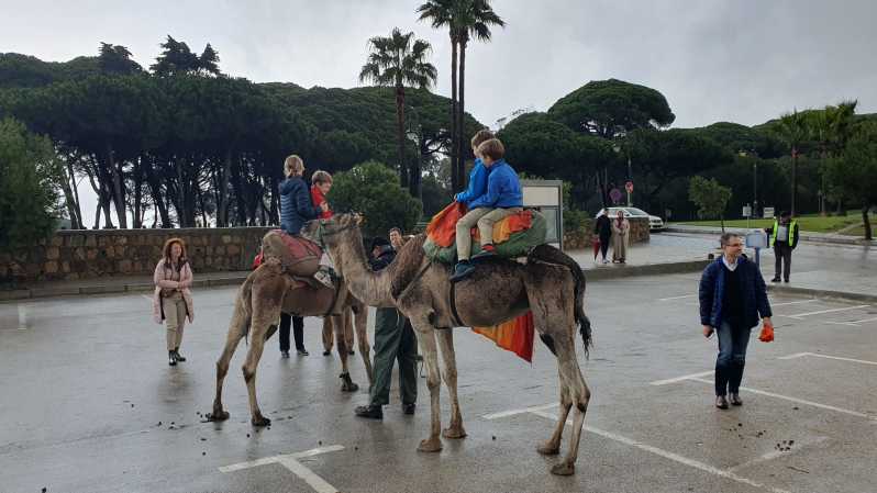 Da Tarifa: tour di un giorno a Tangeri con shopping al bazar e pranzo