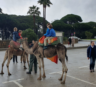 Tours de compras en Tarifa