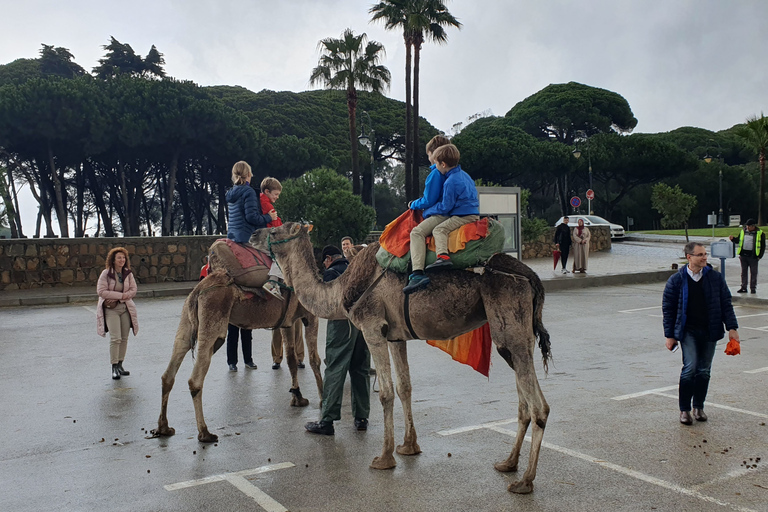 Van Tarifa: Tanger-dagtour met bazaarwinkelen en lunch