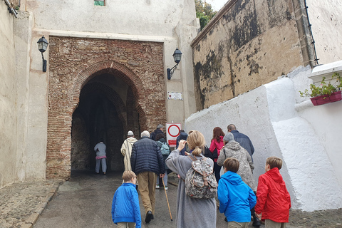 Van Tarifa: Tanger-dagtour met bazaarwinkelen en lunch