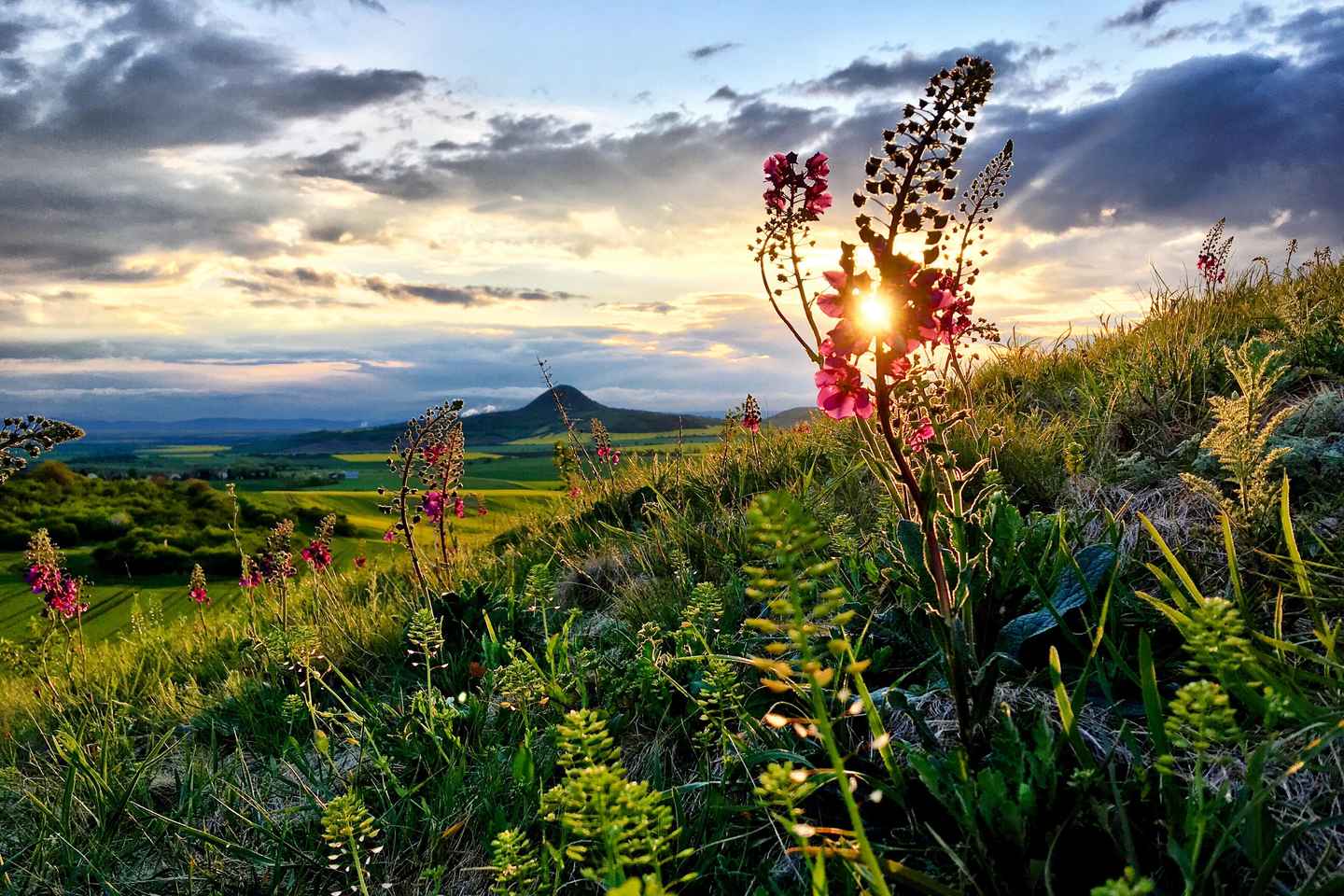 Bohemian Uplands: Garnet panning, Farm & Local Lunch&Beer