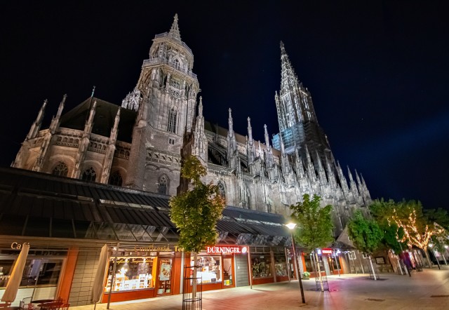 Visit Munster Express Walk with a Local in 60 minutes in Münster