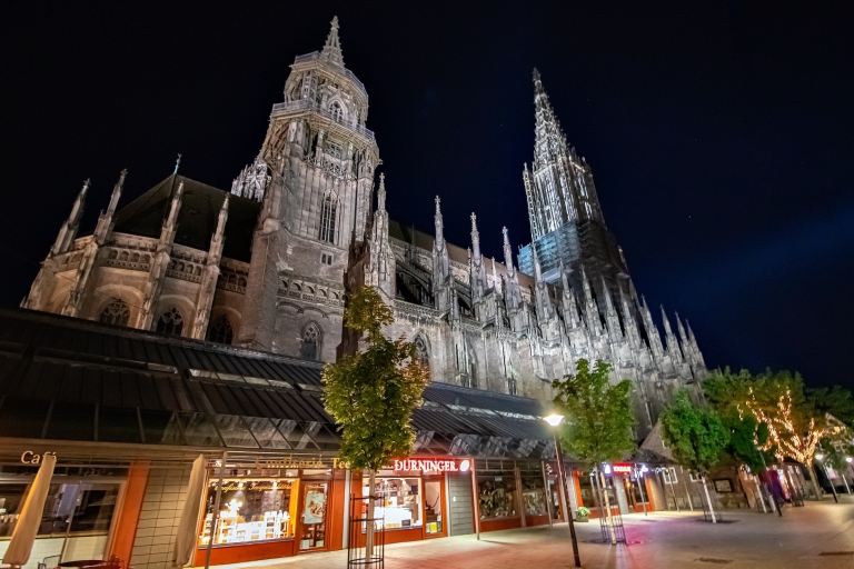 Münster : Visite à pied des points forts de la ville avec un habitant