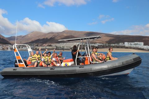 From Morro Jable: Dolphin & Whale Watching Day Trip by Boat