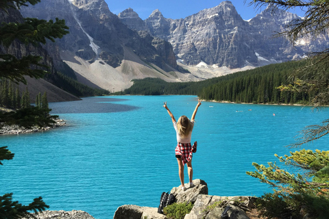 Private Tour: Lake Louise, Moraine, Peyto & Johnston Canyon