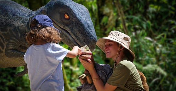 Von Alcúdia aus: Dinosaurierland und Coves dels Hams Halbtagestour