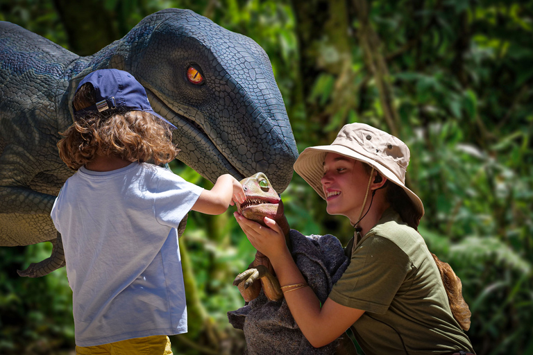 From Alcúdia: Dinosaurland and Hams&#039; Caves Half-Day Trip