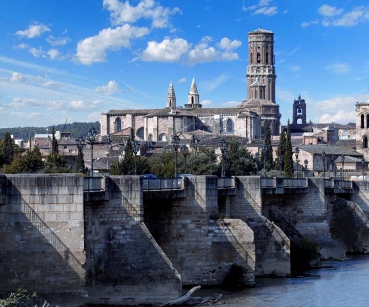 From Navarra: Tudela Guided Tour