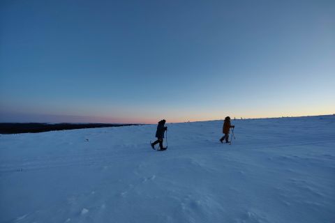 Da Inari: gita di un giorno a Saariselkä con racchette da neve e renne