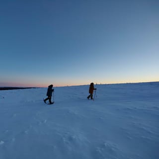 Van Inari: Saariselkä-dagtrip met sneeuwschoenwandelen en rendieren