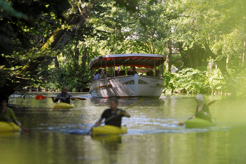 Odense: River Cruise on the Odense RiverStandard Option