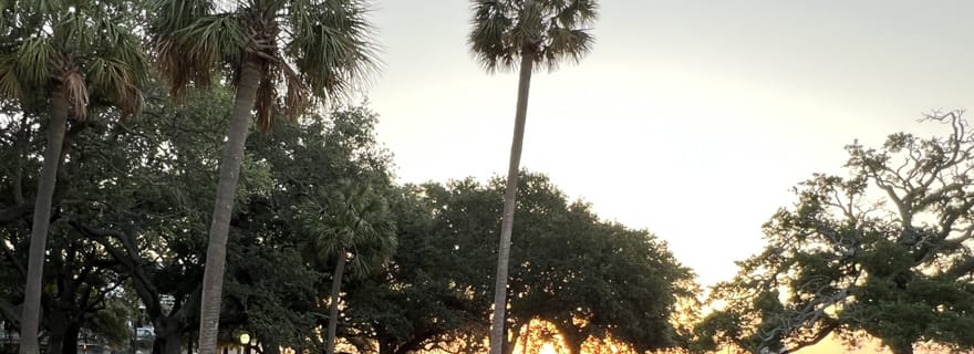 Visite à pied de Charleston avec un professeur d'histoire de la Citadelle