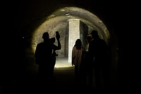 Vienna, Viennese World World Guided Walking Tour - Housity