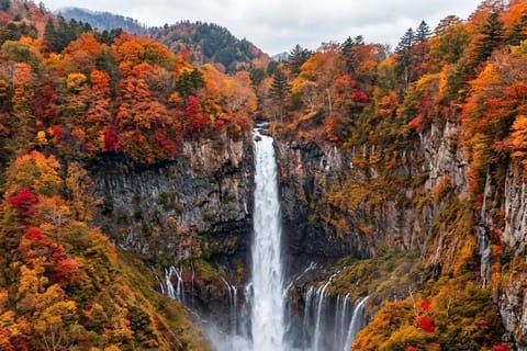 From Tokyo: Nikko Day Trip with Kegon Falls & Shrine Visit - Image 2