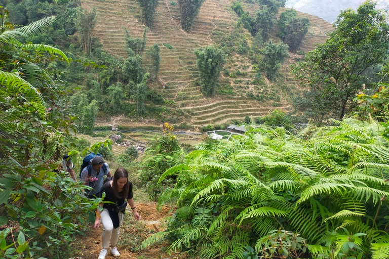 Von Hanoi aus: Geführte 2-Tages-Tour nach Sa Pa mit Mittagessen und Abendessen