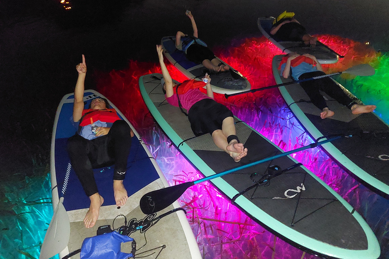 Orlando: Tour serale in kayak o paddleboard con illuminazione a LED