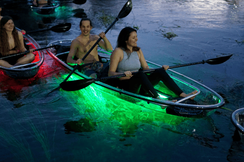 Orlando: LED Night Glow Clear Kayak or Paddleboard Tour Orlando: LED Glow in the Dark Clear Kayak & Paddleboard Tour