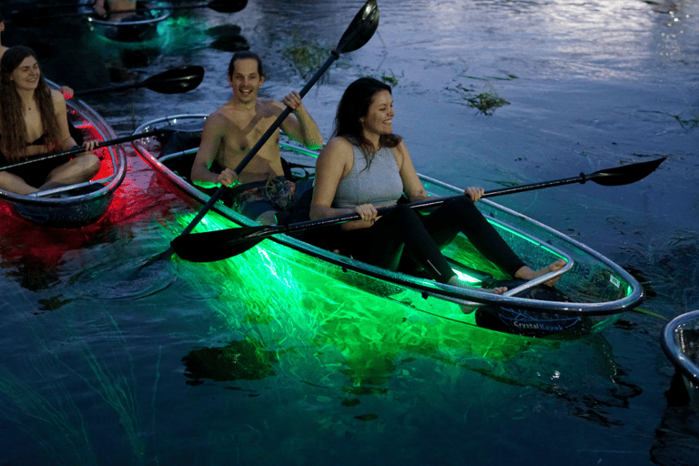 Orlando: LED Night Glow Clear Kayak or Paddleboard Tour