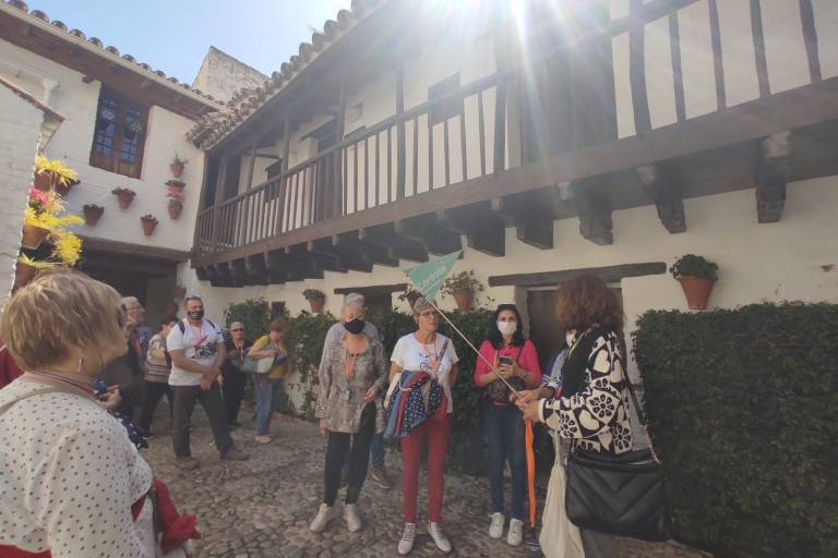 Córdoba: Cultural City Highlights Walking Tour