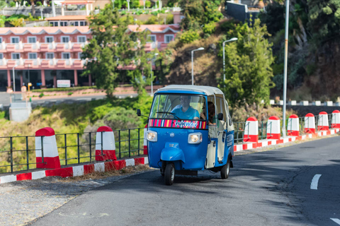 Visite guidée privée en Tuk-Tuk des hauts lieux de l'île de MadèreFunchal : Visite guidée privée des points forts de la ville en Tuk-Tuk