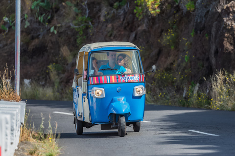 Visite guidée privée en Tuk-Tuk des hauts lieux de l'île de MadèreFunchal : Visite guidée privée des points forts de la ville en Tuk-Tuk