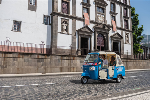 Madeira Island Highlights Private Guided Tour by Tuk-Tuk