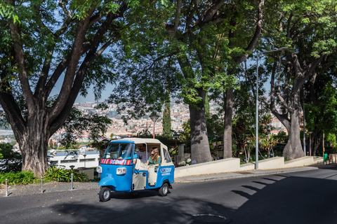 Visite guidée privée en Tuk-Tuk des hauts lieux de l'île de MadèreFunchal : Visite guidée privée des points forts de la ville en Tuk-Tuk