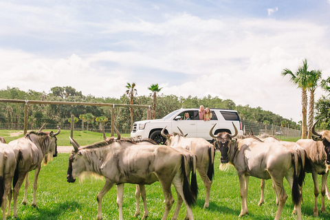 Orlando: Parque de Safári Drive-Thru no Wild Florida