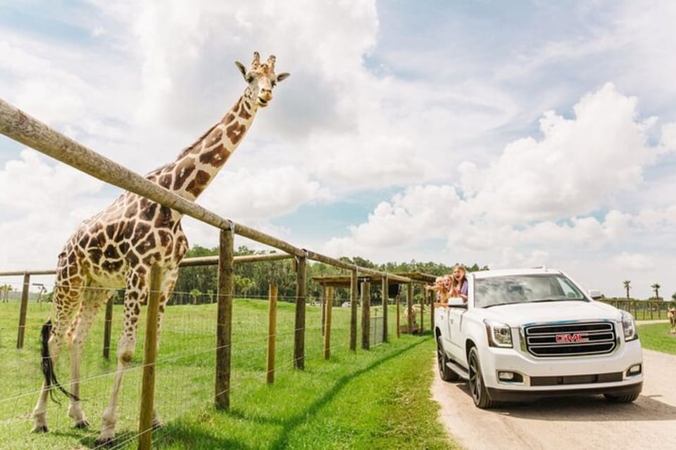 Florida Wild Orlando Safari Park. Парк Адмиссион. Orlando Florida Drive.